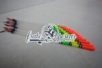 Plută tubulară cu antenă multicoloră 1gr